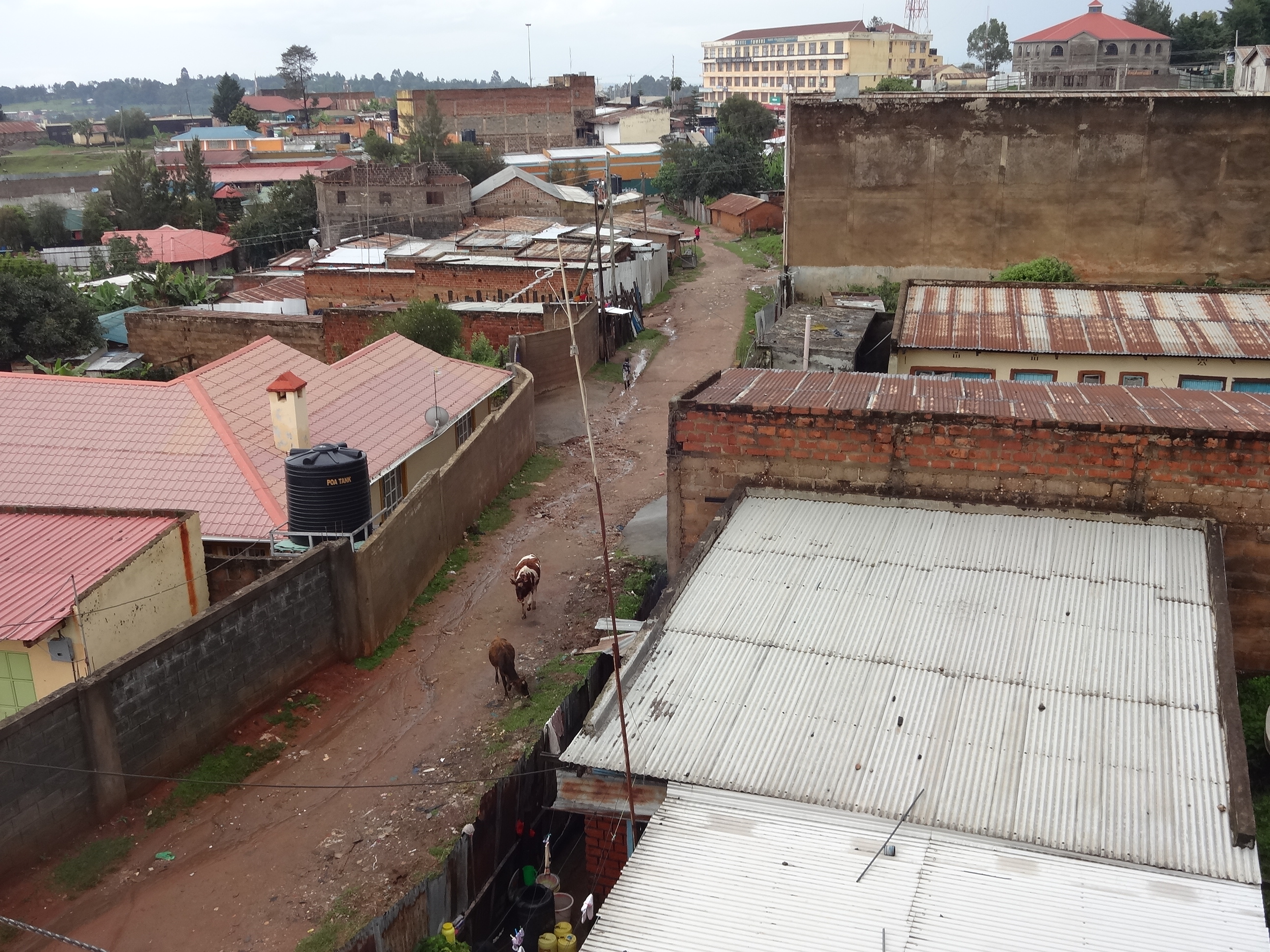 Kapenguria	Town